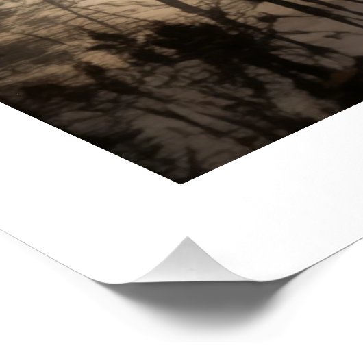 Majestic Moose in het Golden Glow Poster van Dawn (Hoek)