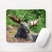 Majestic Moose Meadow Muismat (Met muis)