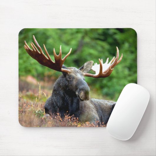 Majestic Moose Meadow Muismat (Met muis)