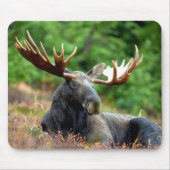 Majestic Moose Meadow Muismat (Voorkant)