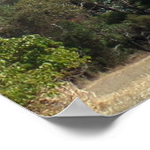 Majestic Mount Sturgeon from Dunkeld Poster (Hoek)