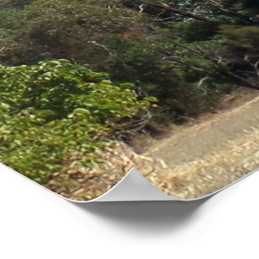 Majestic Mount Sturgeon from Dunkeld Poster (Hoek)