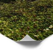 Majestic Mountains Poster papier (mat) (Hoek)