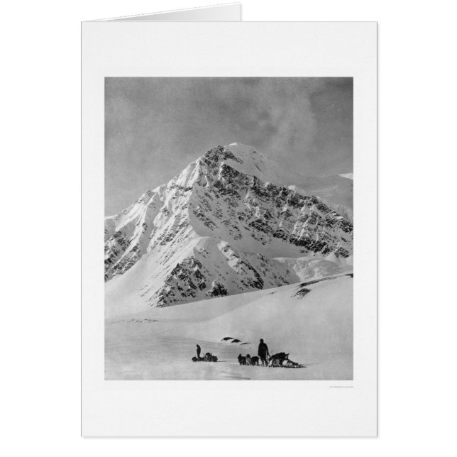 Majestic Mt. McKinley 1908 (Voorkant)