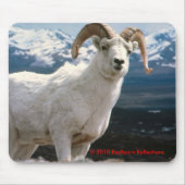 Majestic Muismat (Voorkant)