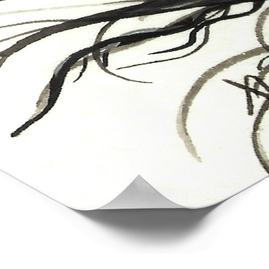 Majestic Mustang Pinto Horse van BiHrLe Poster (Hoek)