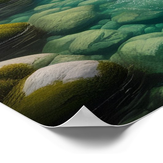 Majestic Ontmoeting: Beer en Vis in Stroom Poster (Hoek)