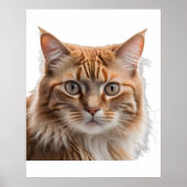 Majestic Orange Tabby Cat Portrait Poster (Voorkant)