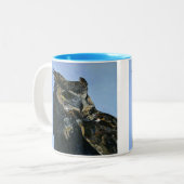 Majestic owl tweekleurige koffiemok (Voorkant links)