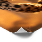 Majestic Paar Cheetahs Sprinten Door de Gr Poster (Hoek)