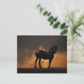Majestic paard briefkaart (Staand voorkant)