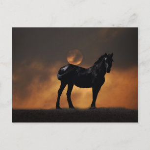 Majestic paard briefkaart