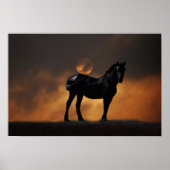 Majestic paard poster (Voorkant)