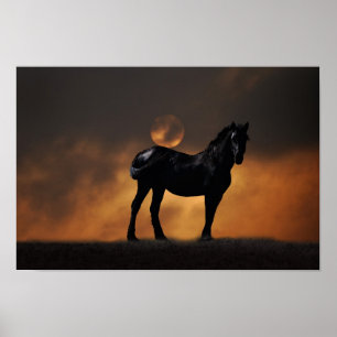 Majestic paard poster