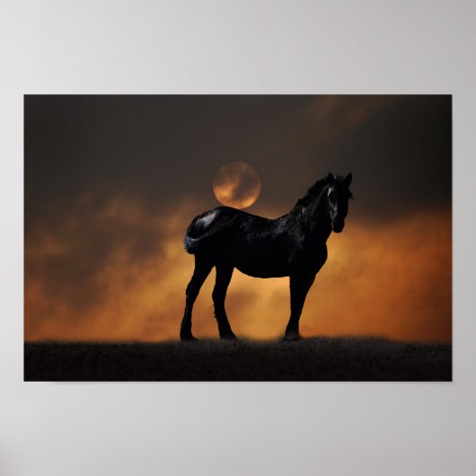 Majestic paard poster (Voorkant)