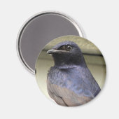 Majestic Paars Martin Magneet (Voorkant / Achterkant)