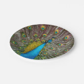 Majestic Peacock Bird met Koninklijk Plumage Papieren Bordje (Gekanteld)