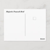 Majestic Peacock Briefkaart (Achterkant)