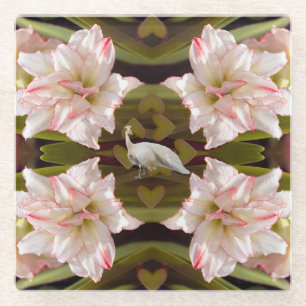 Majestic Peacock en Amaryllis Candy Cane Glazen Onderzetter