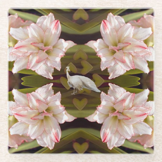 Majestic Peacock en Amaryllis Candy Cane Glazen Onderzetter (Voorkant)