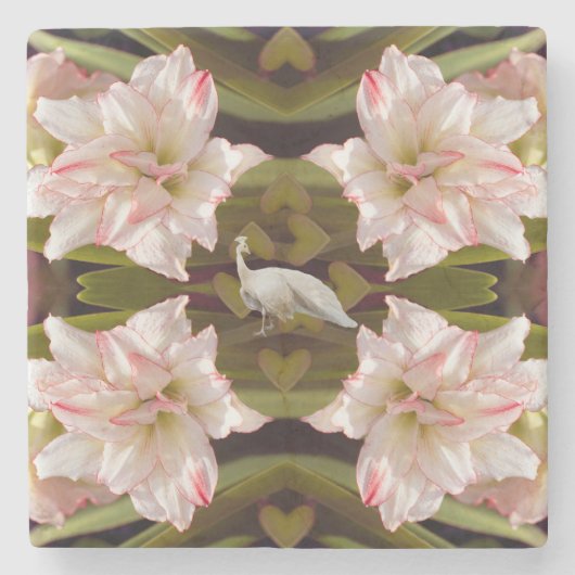 Majestic Peacock en Amaryllis Candy Cane Stenen Onderzetter (Voorkant)