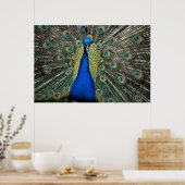 Majestic Peacock Poster (Keuken)