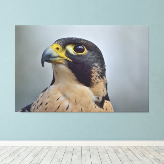 Majestic Peregrine falcon Canvas Afdruk (Insitu (Houten vloer))
