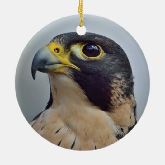 Majestic Peregrine falcon Keramisch Ornament (Achterkant)