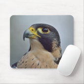 Majestic Peregrine falcon Muismat (Met muis)