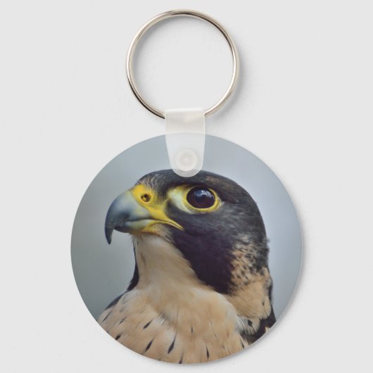 Majestic Peregrine falcon Sleutelhanger (Voorkant)