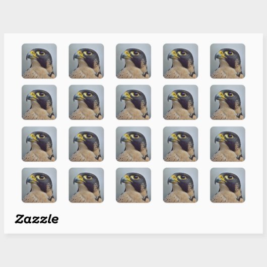 Majestic Peregrine falcon Vierkante Sticker (Vel)