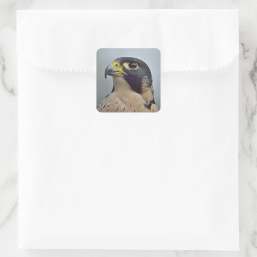 Majestic Peregrine falcon Vierkante Sticker (Tas)