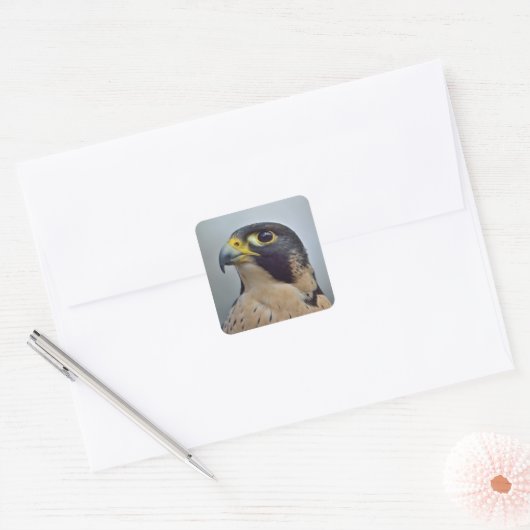 Majestic Peregrine falcon Vierkante Sticker (Envelop)
