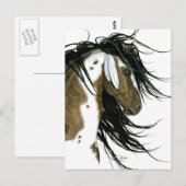 Majestic Pinto Post Card Horse van Bihrle Briefkaart (Voorkant / Achterkant)
