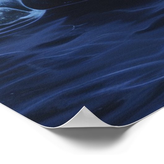 Majestic Polar Beer Skeleton Poster (Hoek)