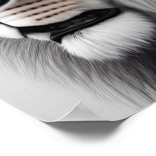 Majestic Potlood Tekening van een Leeuw Poster (Hoek)