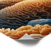 Majestic Predator: Haaien Ocean Dance Poster (Hoek)