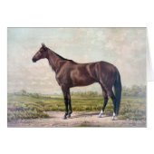  - Majestic Race Horse (Voorkant Horizontaal)