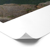 Majestic Rainier Panorama Poster (Hoek)