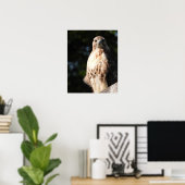Majestic Red Tail Hawk Stare Down Poster (Thuiskantoor)
