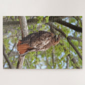 Majestic Red Tailed Hawk Legpuzzel (Horizontaal)