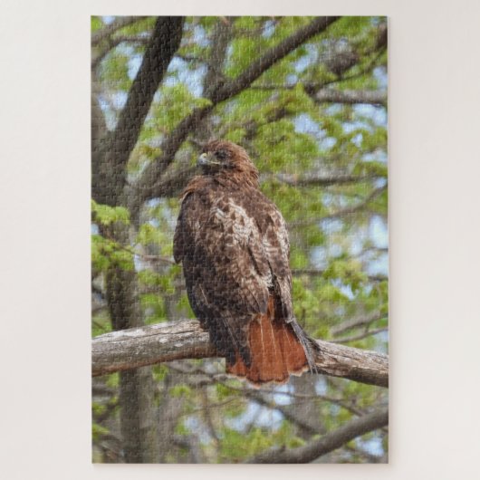 Majestic Red Tailed Hawk Legpuzzel (Verticaal)
