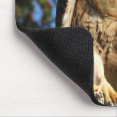 Majestic Red Tailed Hawk Muismat (Hoek)