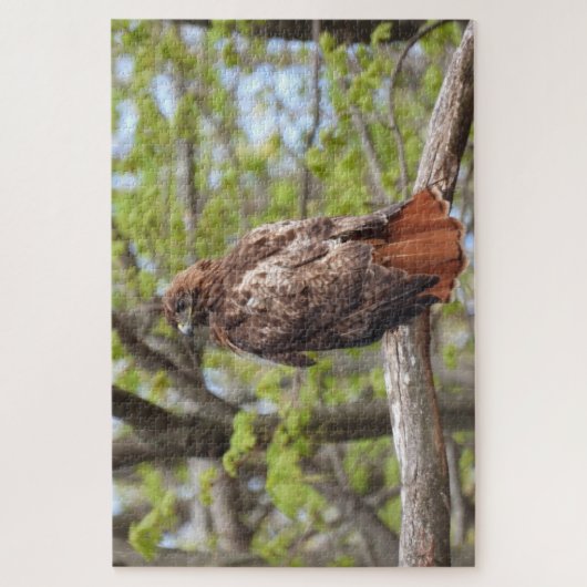 Majestic Red Tailed Hawk Perched Legpuzzel (Verticaal)