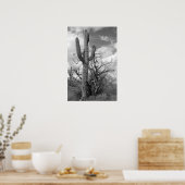 Majestic Saguaro Cactus (b/w) Poster (Keuken)