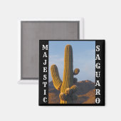 Majestic Saguaro Square Magnet (Voorkant / Achterkant)