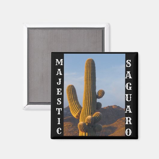 Majestic Saguaro Square Magnet (Voorkant / Achterkant)