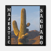 Majestic Saguaro Square Magnet (Voorkant)