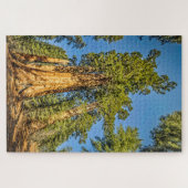 Majestic Sequoia Trees Legpuzzel (Horizontaal)