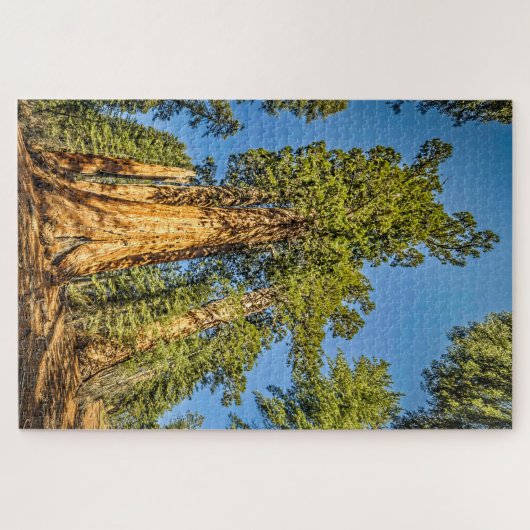 Majestic Sequoia Trees Legpuzzel (Horizontaal)